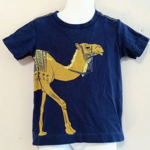 Tea Collection Destination: Morocco Camel Tee